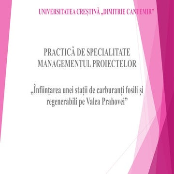Proiect Practica de specialitate