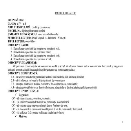 Proiect romana puiul