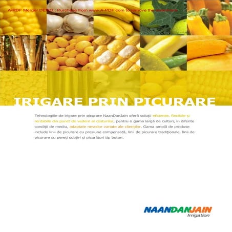 Proiect solarii si linii picurare