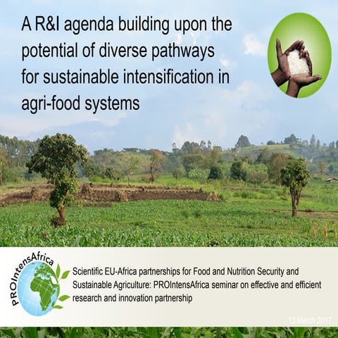 PROIntensAfrica pathways concept and research agenda