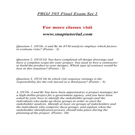 PROJ 595 Effective Communication - snaptutorial.com