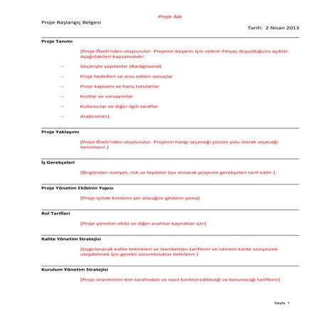 Proje baslangıc belgesi