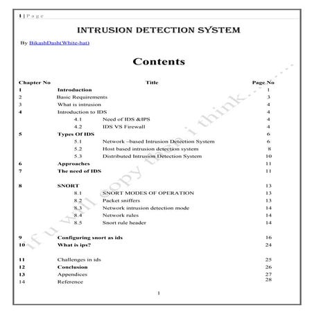 Intrusion Detection System