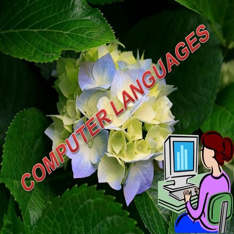 Computer Languages | PPT