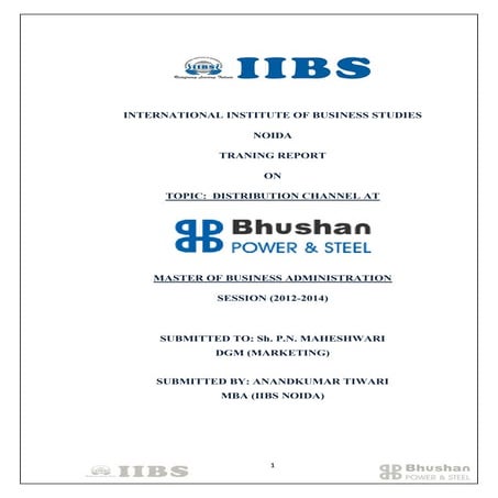 Distribution channel at Bhushan Power and Steels Ltd