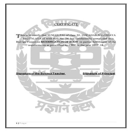 Project on Modification of roots