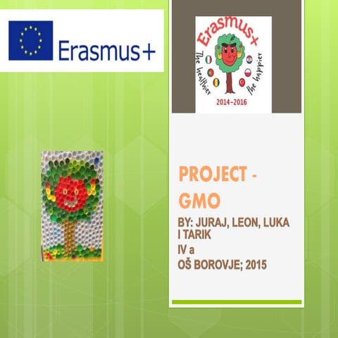 Project GMO | PPTX