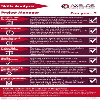 Project Manager - Skills Analysis