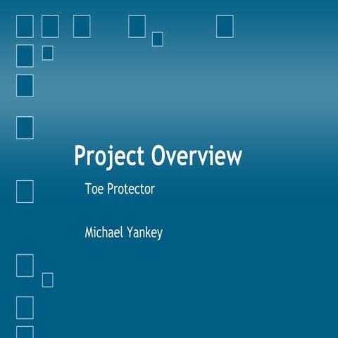 Project Overview | PPT