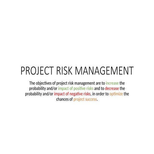 FDDVDVFRGTTTTProject-Risk-Management.docx