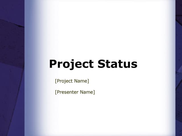 Project Status Report