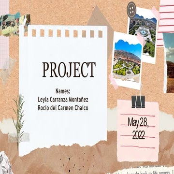 Project (1).pptx