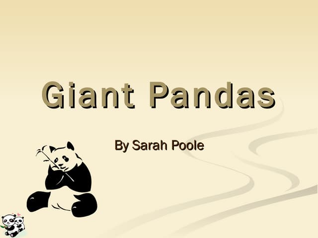 Giant Pandas