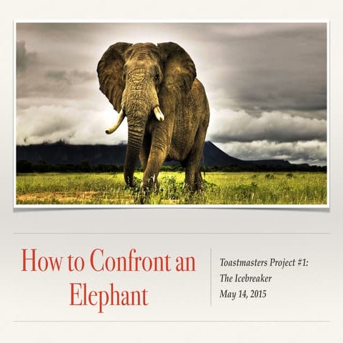 How to Confront an Elephant