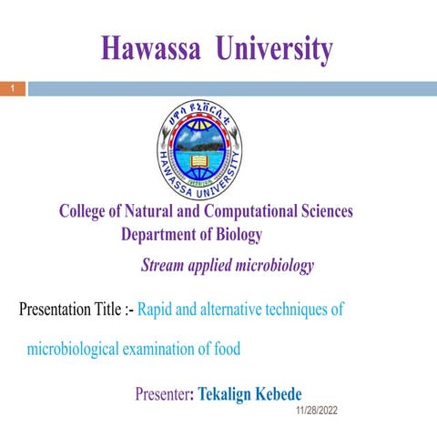 Project 1 Assignment Presentation Ppt by Tekalign.pptx