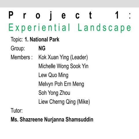 Project 1 experiental landscape