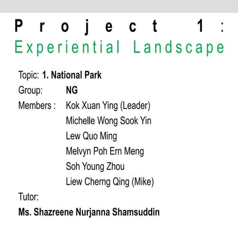 Project 1 experiental landscape (1)
