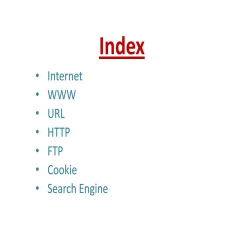 The Internet Project for Mr.Borg