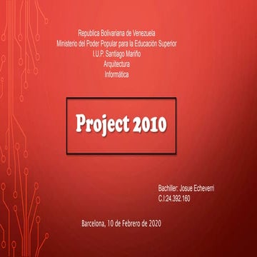 Project 2010