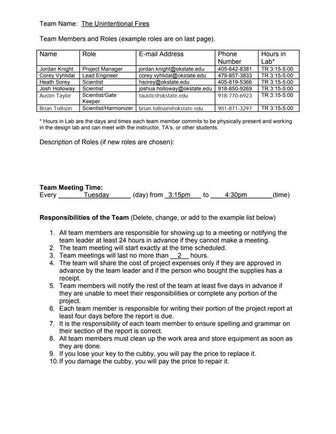 Project2 teamcontract