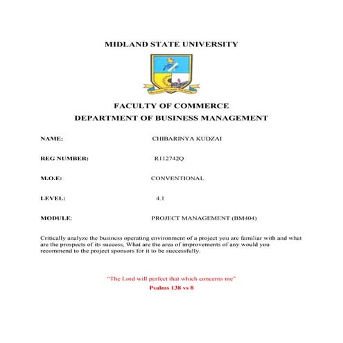 Critically analyze the business operating environment of a project you are fa...