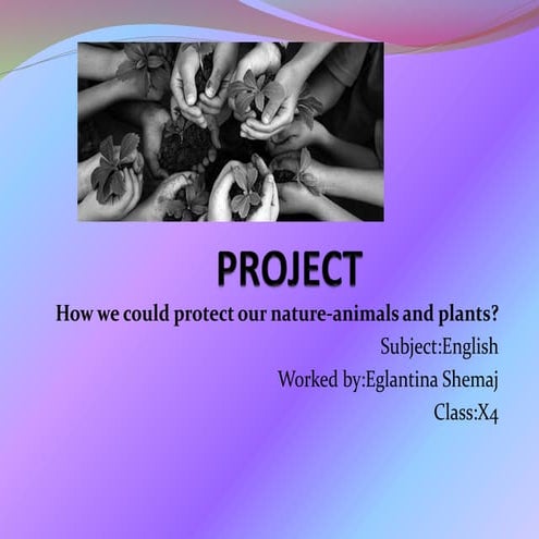 Project English