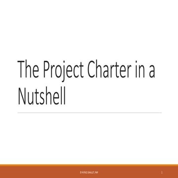 The Project Charter in a Nutshell