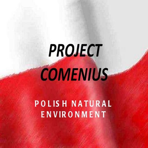 PROJECT COMENIUS 