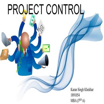 Project control wps office