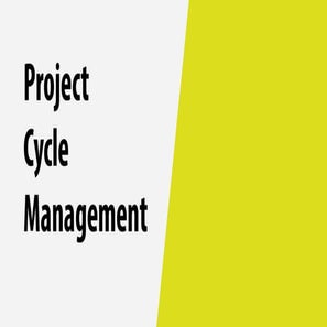 Project cycle management