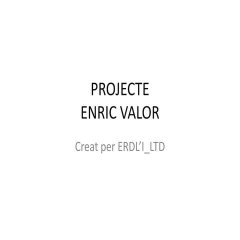 Projecte