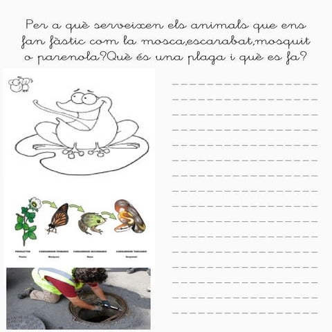 PROJECTE CREATIU ANIMALS PER A SEGON