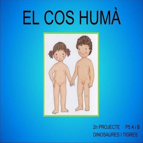 Projecte cos humà  comprimit