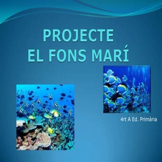 Projecte fons mari