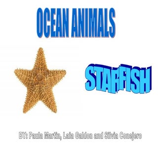 Starfish ESL primary school present...