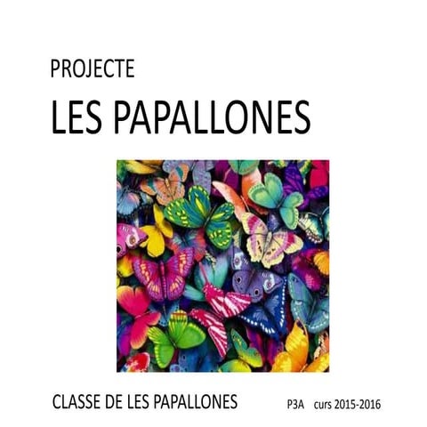 Projecte papallones 2015 16