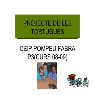 projecte les tortugues