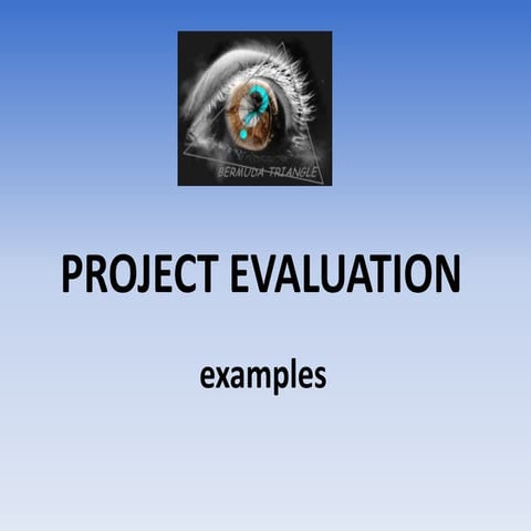 Project evaluation   examples