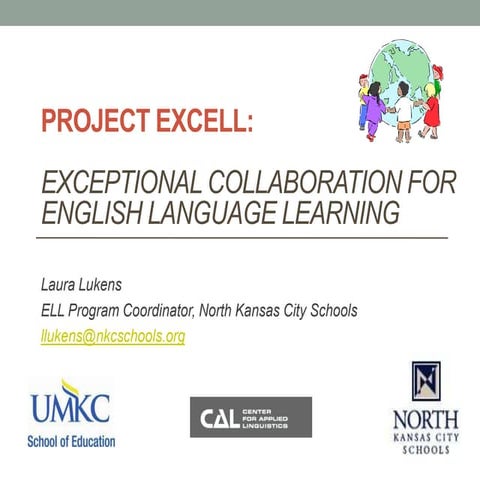 Project excell overview