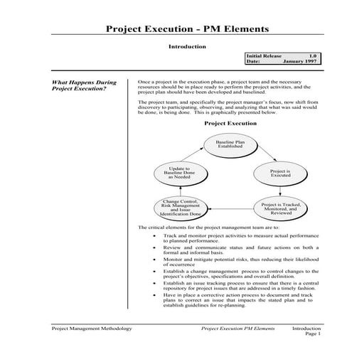 Project Execution and PM Elements