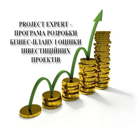 Project Expert
