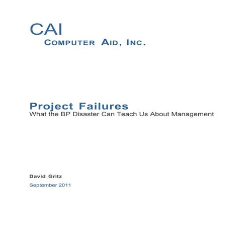 Project failures   whitepaper 2 1
