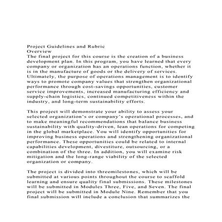 Project Guidelines and Rubric Overview The final project.docx