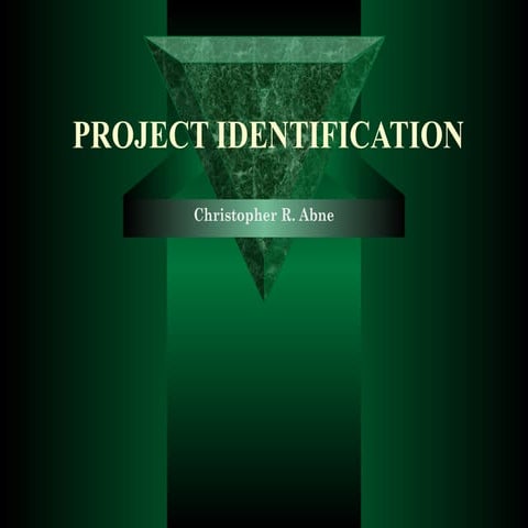 Project identification (report)
