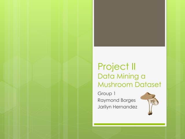 Project 2 Data Mining Part 1