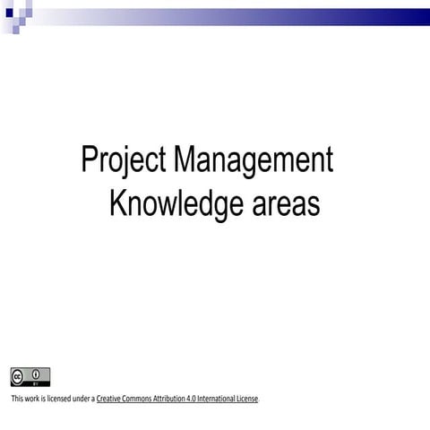 Project knowledge areas