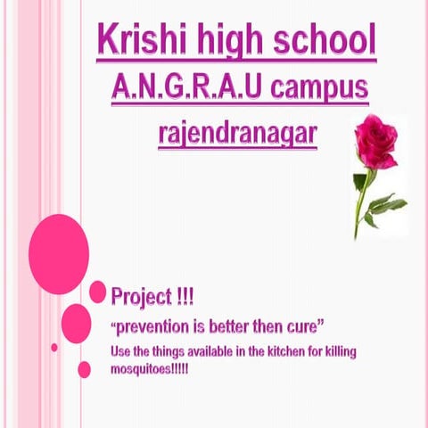 Project krishi high