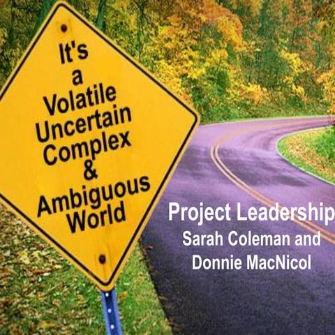 Developing Project Leadership