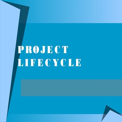 Project lifecycle