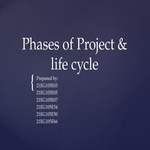 Project Lifecycleytftygftygygyugyuy.pptx
